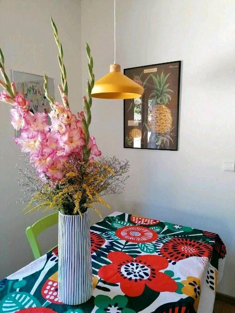 Ferienhaus Meeblume Rietschen エクステリア 写真